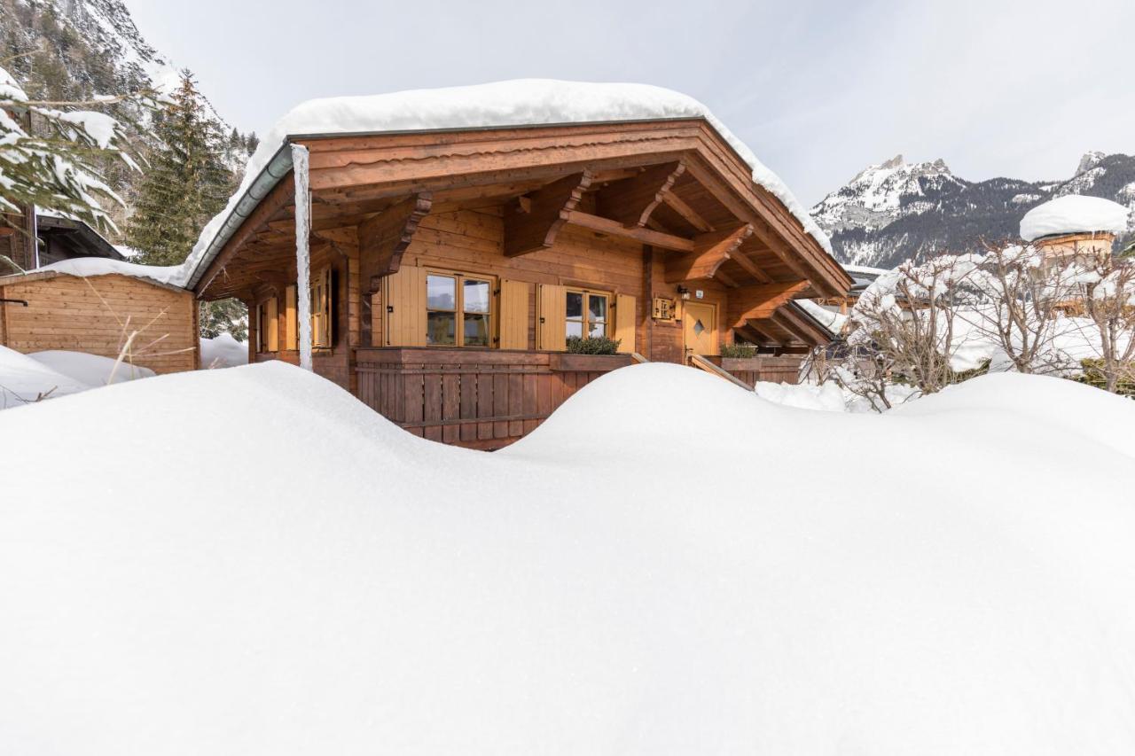 Alpen-Chalets Achensee 毛拉赫 外观 照片