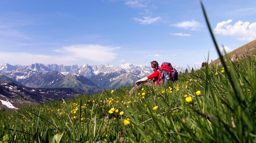 Alpen-Chalets Achensee 毛拉赫 外观 照片
